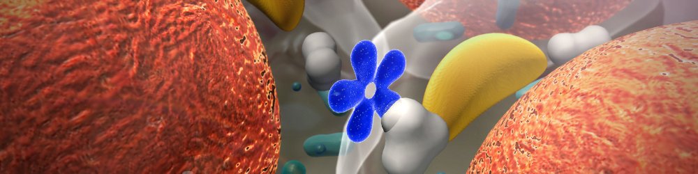 hormones A Danca Hormonal Dentro Do Seu Corpo Ketones Glucose Insulin E Cortisol