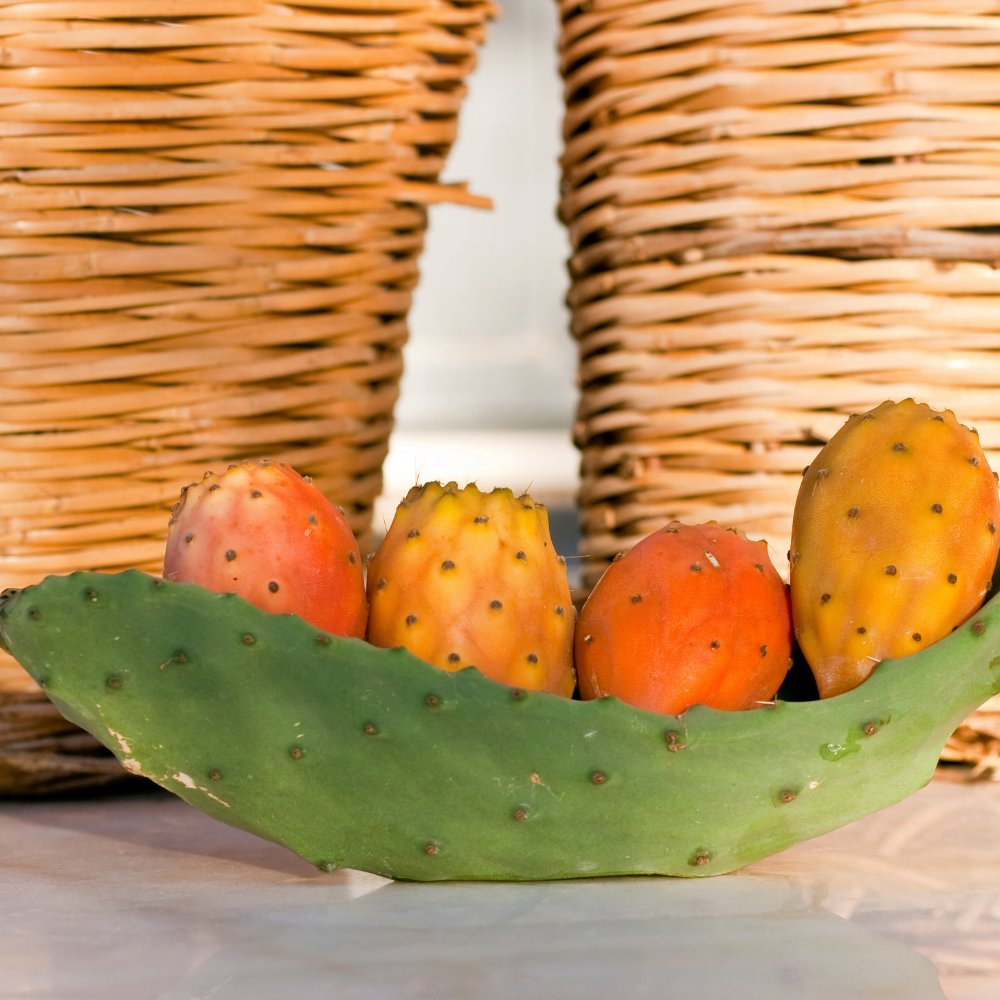 As 10 Melhores Frutas Lowcarb