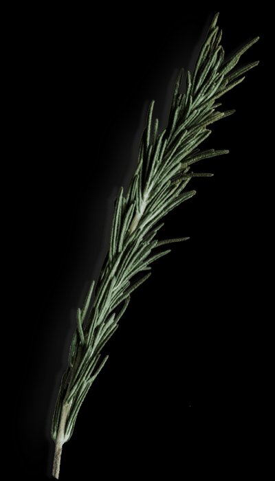 spice-shop-38 Meu Jejum De 7 Dias