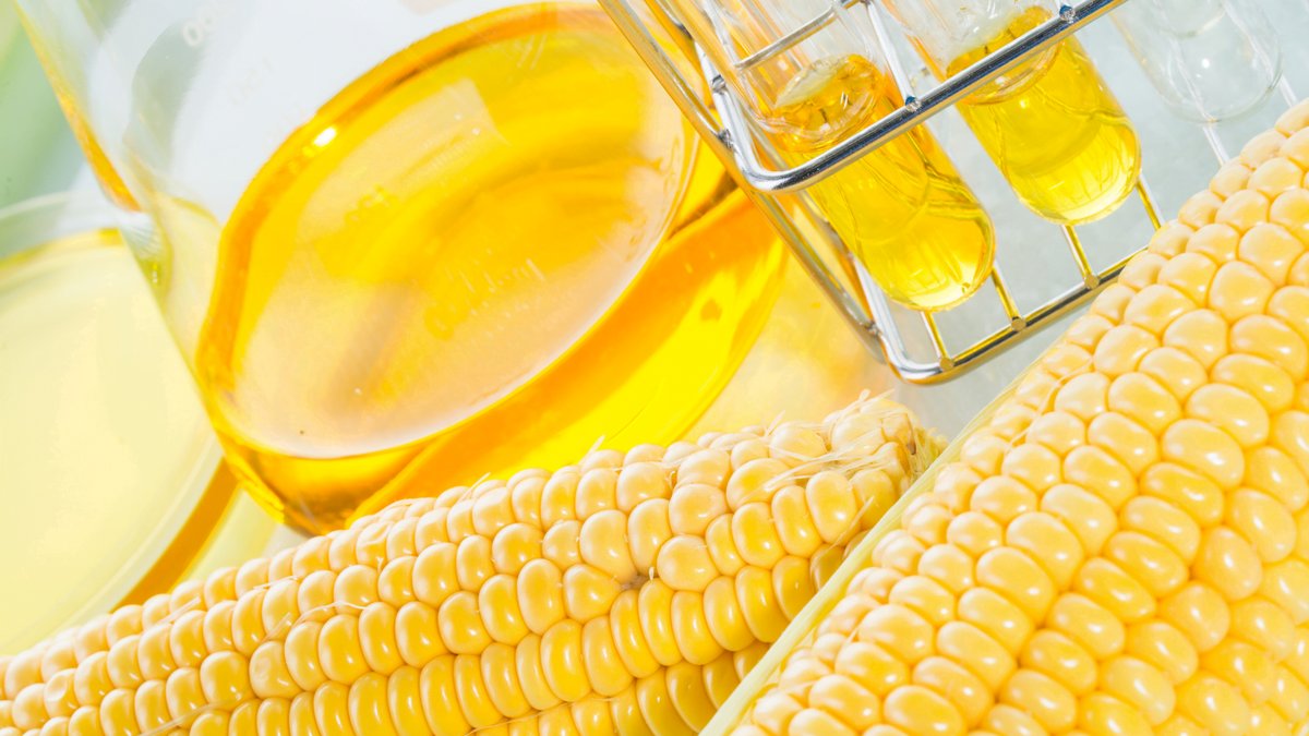 High Fructose Corn Syrup Quais Os Melhores Adocantes Para Substituir O Acucar